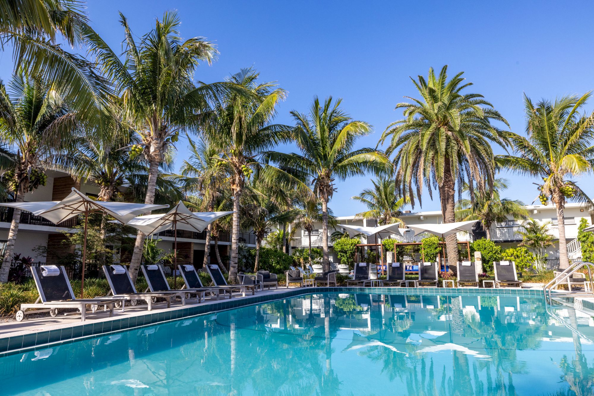 The image shows a tropical resort pool area with palm trees, lounge chairs, and umbrellas under a clear blue sky.