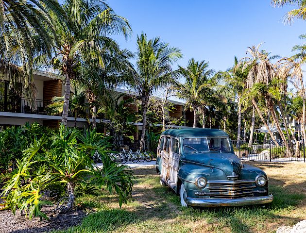 A vintage blue car is parked on a grassy area surrounded by lush palm trees and tropical vegetation, near a resort or hotel.